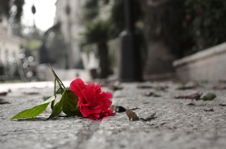 Trauerdruck Trauerdruck